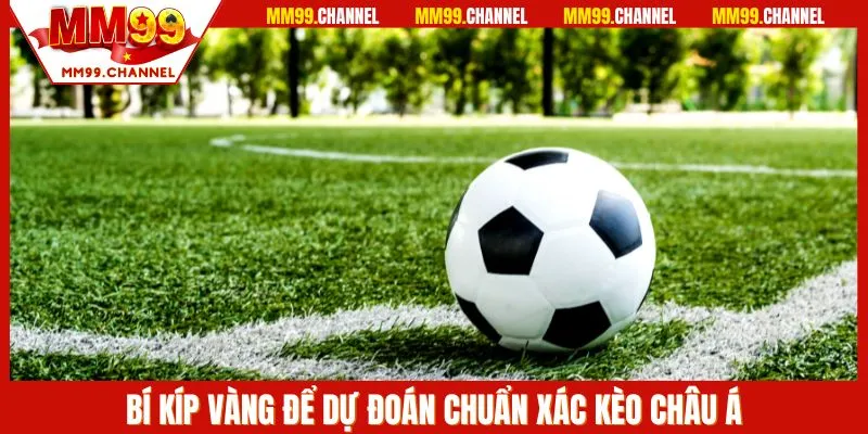 Bí kíp để làm chủ loại cược Châu Âu