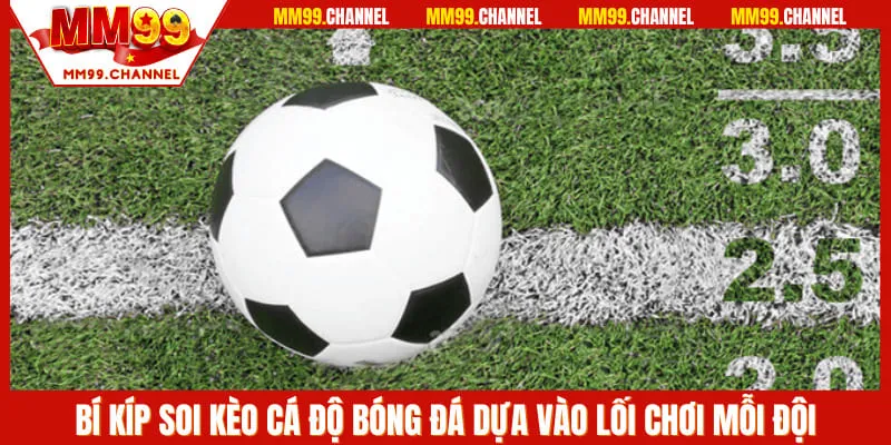 Bí kíp soi kèo cá độ bóng đá dựa vào lối chơi mỗi đội