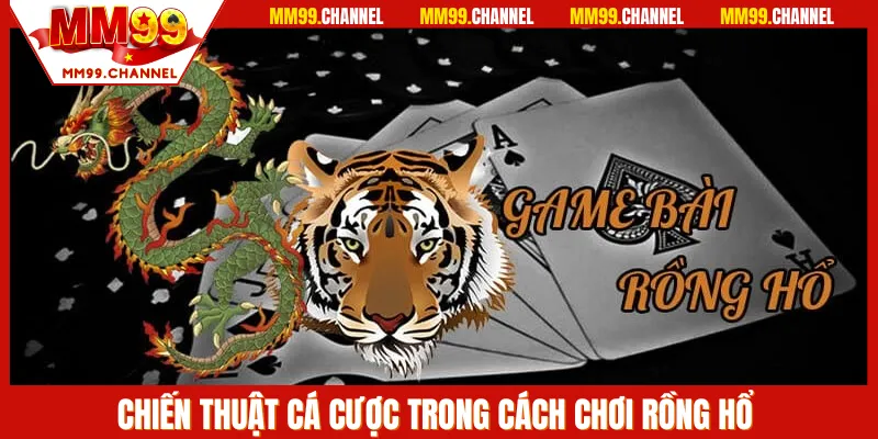 Các chiến thuật chơi rồng hổ tại MM99 