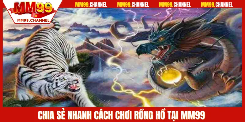 Chia sẻ cách chơi rồng hổ tại thương hiệu MM99 